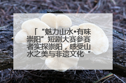 “魅力山水•有味崇阳”短剧大赛参赛者实探崇阳，感受山水之美与非遗文化“提琴戏”魅力