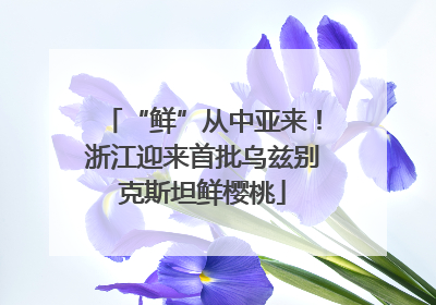 “鲜”从中亚来！浙江迎来首批乌兹别克斯坦鲜樱桃