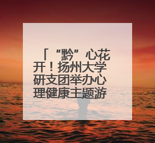 “黔”心花开！扬州大学研支团举办心理健康主题游园会