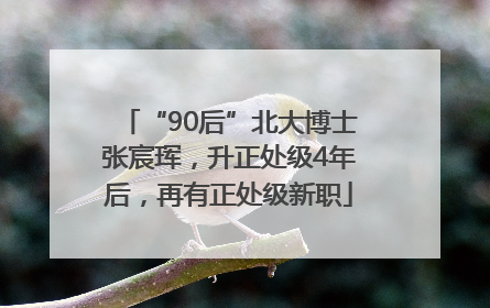 “90后”北大博士张宸珲，升正处级4年后，再有正处级新职