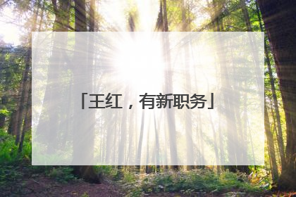 王红，有新职务