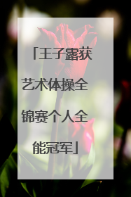 王子露获艺术体操全锦赛个人全能冠军