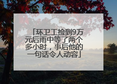 环卫工捡到9万元后雨中等了两个多小时，事后他的一句话令人动容