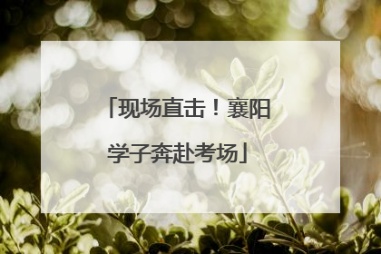 现场直击！襄阳学子奔赴考场