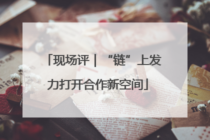 现场评｜“链”上发力打开合作新空间