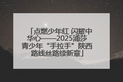 点燃少年红 闪耀中华心——2025浦莎青少年“手拉手”陕西路线丝路续新章