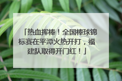 热血挥棒！全国棒球锦标赛在平潭火热开打，福建队取得开门红！
