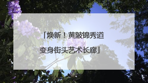焕新！黄陂锦秀道变身街头艺术长廊