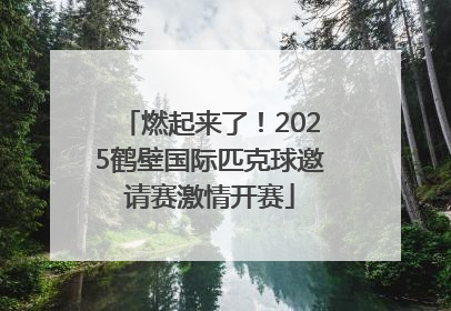 燃起来了！2025鹤壁国际匹克球邀请赛激情开赛