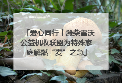 爱心同行丨潍柴雷沃公益机收联盟为特殊家庭解燃“麦”之急