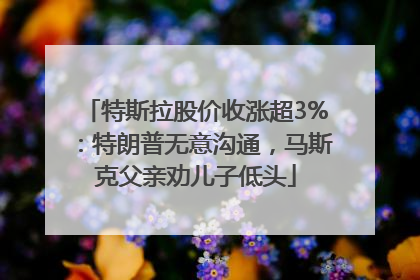特斯拉股价收涨超3%：特朗普无意沟通，马斯克父亲劝儿子低头