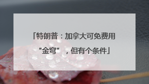 特朗普：加拿大可免费用“金穹”，但有个条件