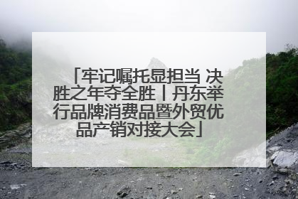 牢记嘱托显担当 决胜之年夺全胜丨丹东举行品牌消费品暨外贸优品产销对接大会