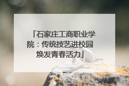 石家庄工商职业学院：传统技艺进校园焕发青春活力