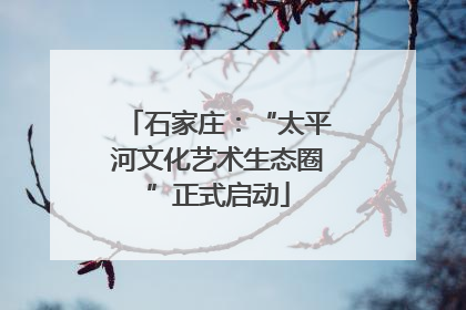 石家庄：“太平河文化艺术生态圈”正式启动