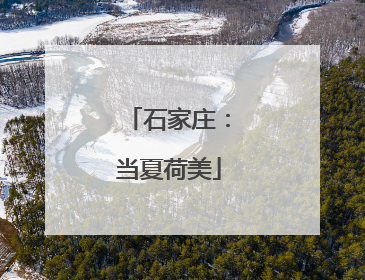 石家庄：当夏荷美
