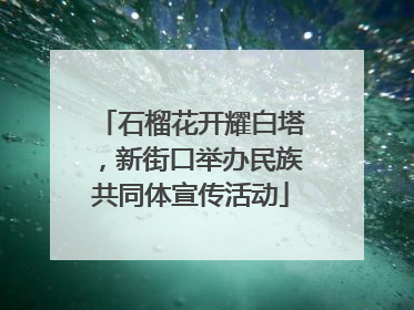 石榴花开耀白塔，新街口举办民族共同体宣传活动