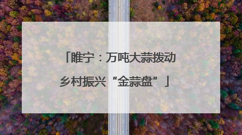 睢宁：万吨大蒜拨动乡村振兴“金蒜盘”