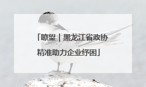 瞭望｜黑龙江省政协精准助力企业纾困