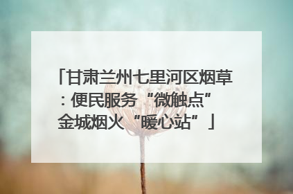 甘肃兰州七里河区烟草：便民服务“微触点” 金城烟火“暖心站”