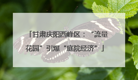 甘肃庆阳西峰区：“流量花园”引爆“庭院经济”