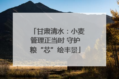 甘肃清水：小麦管理正当时 守护粮“芯”绘丰景
