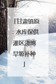 甘肃镇原：水库保供 灌区浇地 旱塬补种