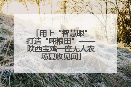 用上“智慧眼” 打造“吨粮田”——陕西宝鸡一座无人农场夏收见闻