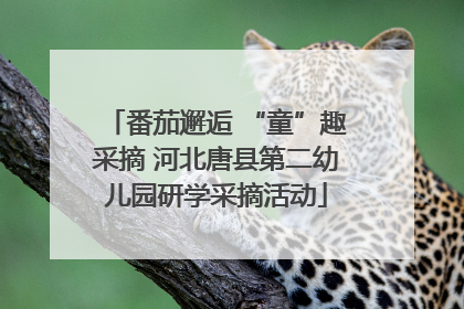 番茄邂逅 “童”趣采摘 河北唐县第二幼儿园研学采摘活动