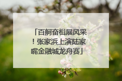 百舸奋楫展风采！张家浜上演陆家嘴金融城龙舟赛