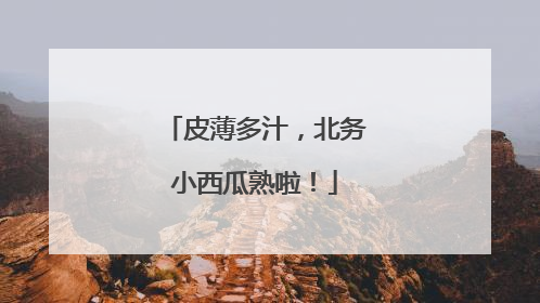 皮薄多汁，北务小西瓜熟啦！
