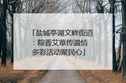 盐城亭湖文峰街道：粽香艾草传温情 多彩活动聚民心