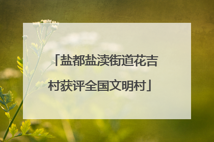 盐都盐渎街道花吉村获评全国文明村