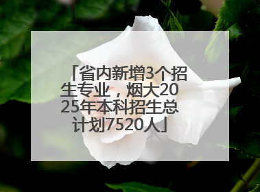 省内新增3个招生专业，烟大2025年本科招生总计划7520人