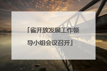 省开放发展工作领导小组会议召开