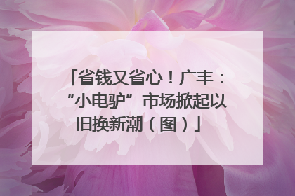 省钱又省心！广丰：“小电驴”市场掀起以旧换新潮（图）