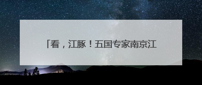 看，江豚！五国专家南京江边考察邂逅“微笑天使”