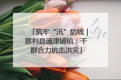 筑牢“汛”防线｜慈利县通津铺镇：干群合力抗击洪灾
