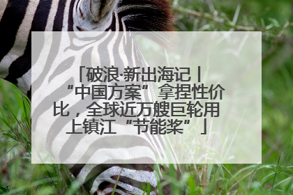 破浪·新出海记丨 “中国方案”拿捏性价比，全球近万艘巨轮用上镇江“节能桨”