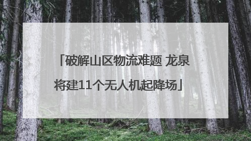 破解山区物流难题 龙泉将建11个无人机起降场