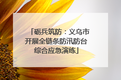 砺兵筑防：义乌市开展全链条防汛防台综合应急演练
