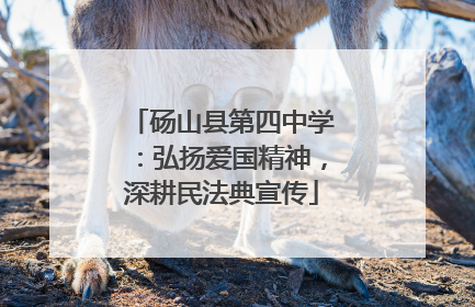 砀山县第四中学：弘扬爱国精神，深耕民法典宣传