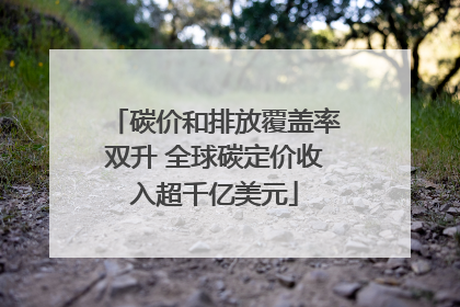 碳价和排放覆盖率双升 全球碳定价收入超千亿美元