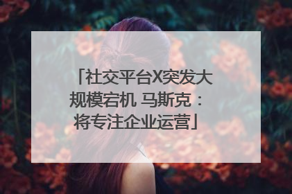 社交平台X突发大规模宕机 马斯克：将专注企业运营