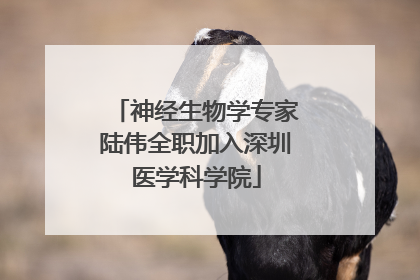 神经生物学专家陆伟全职加入深圳医学科学院