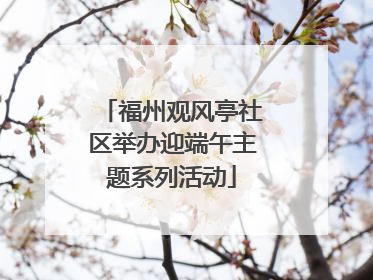 福州观风亭社区举办迎端午主题系列活动