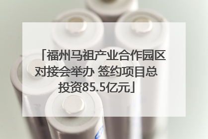 福州马祖产业合作园区对接会举办 签约项目总投资85.5亿元