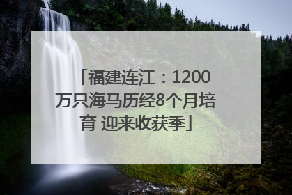 福建连江：1200万只海马历经8个月培育 迎来收获季