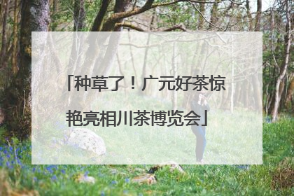 种草了！广元好茶惊艳亮相川茶博览会