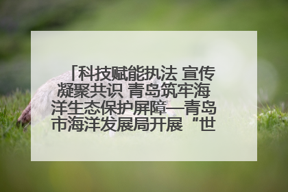 科技赋能执法 宣传凝聚共识 青岛筑牢海洋生态保护屏障—青岛市海洋发展局开展“世界海洋日”和“全国海洋宣传日”宣传活动
